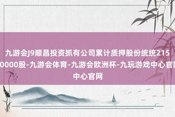 九游会J9顺昌投资抓有公司累计质押股份统统21550000股-九游会体育-九游会欧洲杯-九玩游戏中心官网