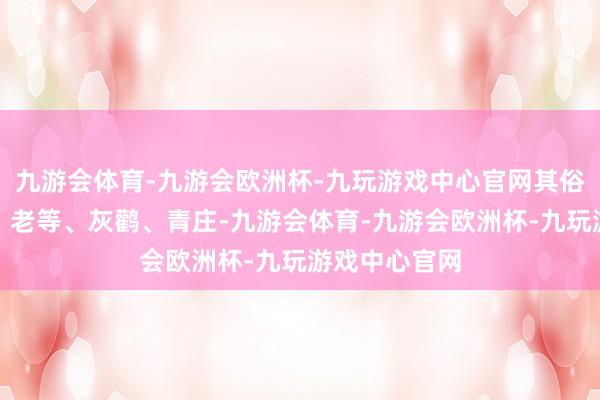 九游会体育-九游会欧洲杯-九玩游戏中心官网其俗名长脖老等、老等、灰鹳、青庄-九游会体育-九游会欧洲杯-九玩游戏中心官网